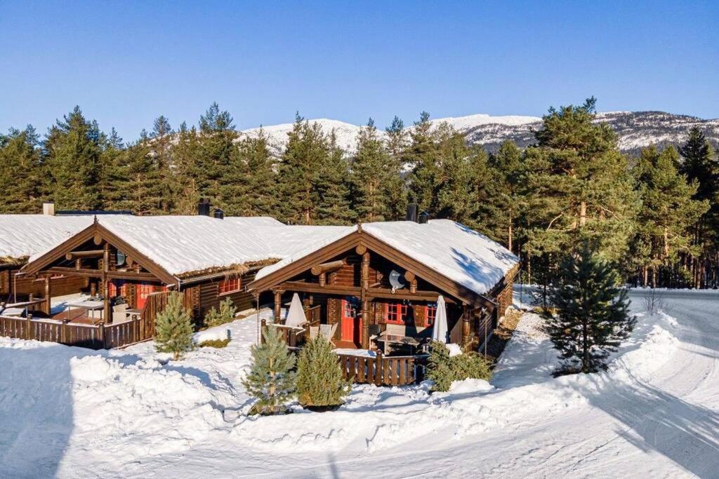 100M Lift, 2 Min Swim - Large Family Cabin ヴラダル エクステリア 写真